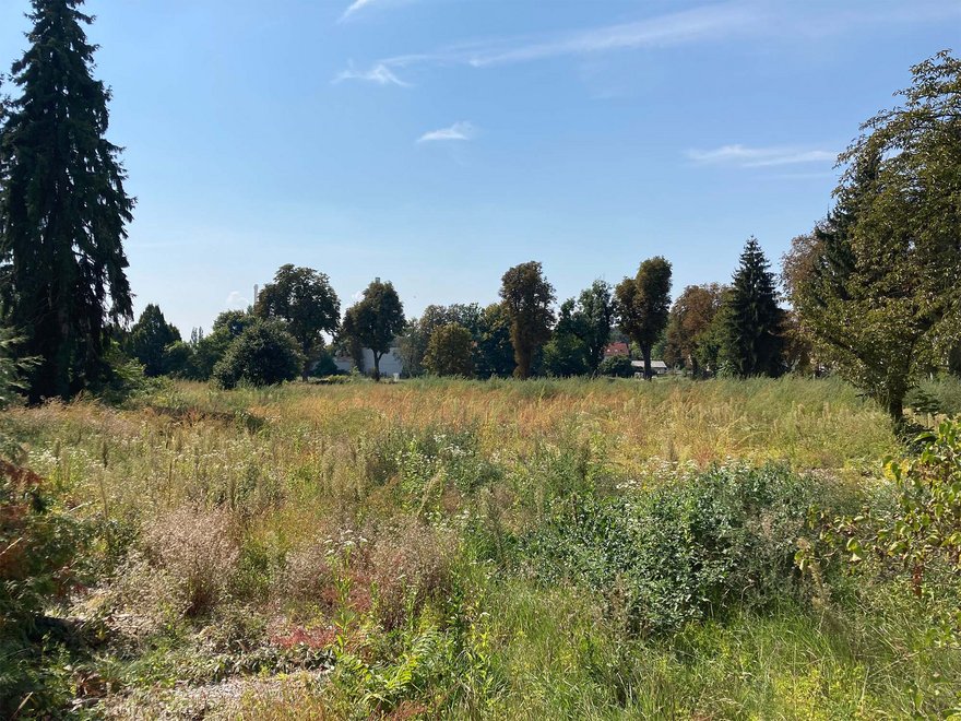 Grünfläche für Sportplatz und Park
