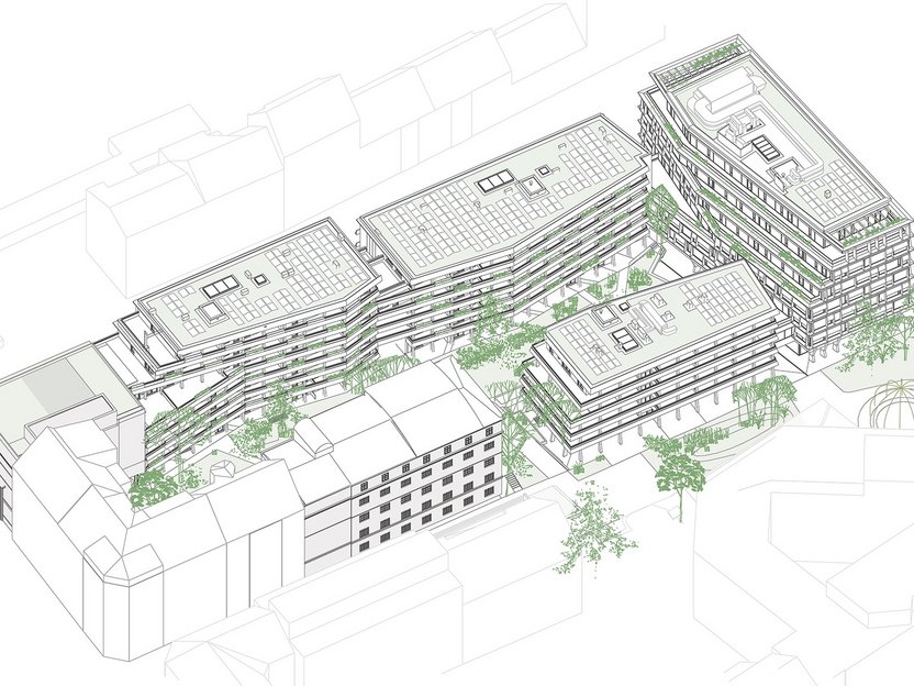 Sonnenstein Ensemble - Plan