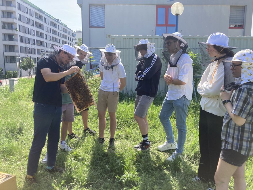 Schul-Workshop des Lerngarten Bienenzentrum