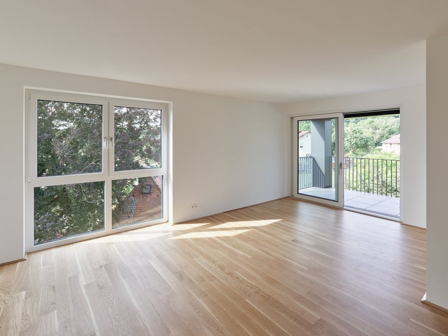 Froschberg Flats