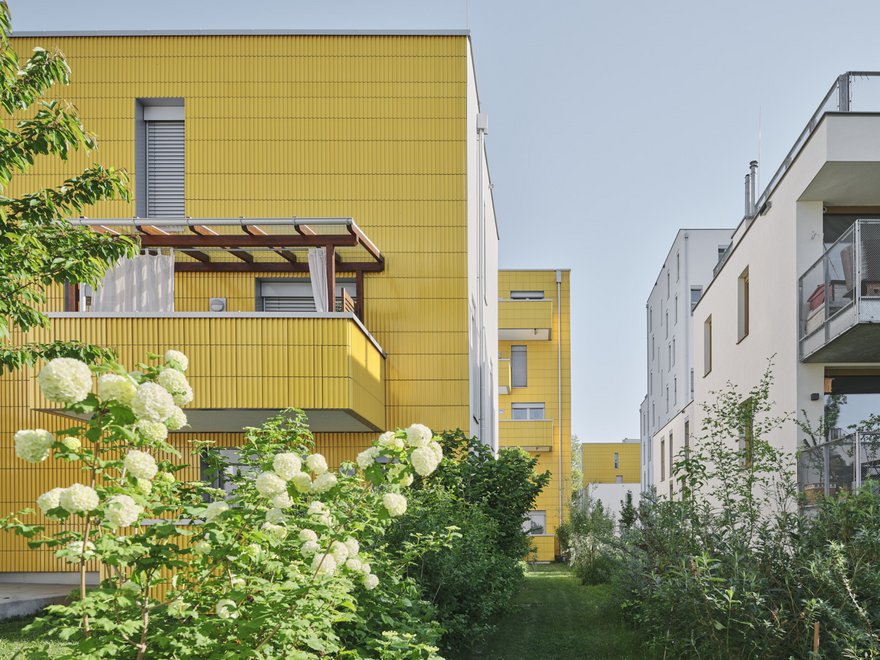 Wildgarten