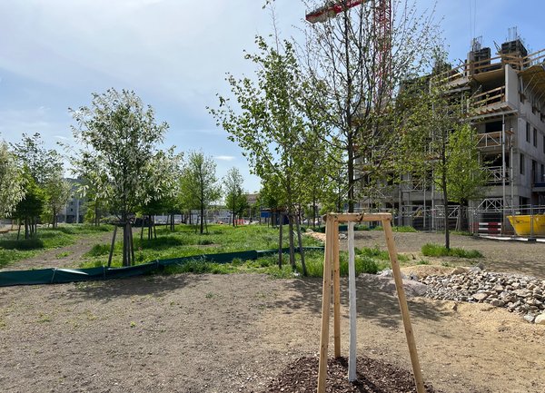 Bert-Brecht-Park im VILLAGE IM DRITTEN - © ARE Bert-Brecht-Park im VILLAGE IM DRITTEN