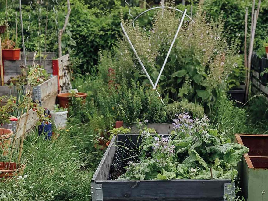 VILLAGE IM DRITTEN Gemeinschaftsgarten