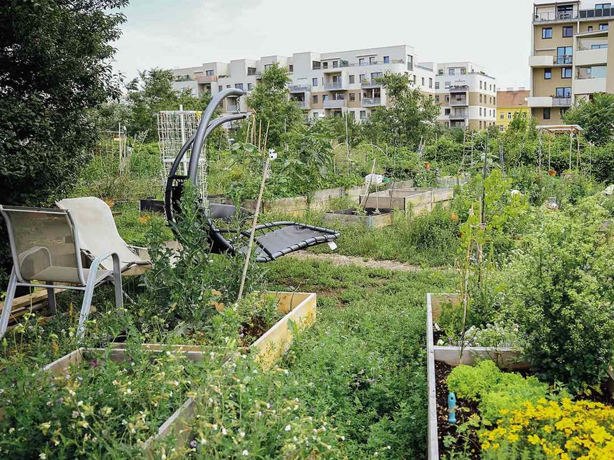 VILLAGE IM DRITTEN Gemeinschaftsgarten