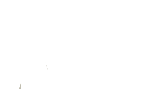 Logo M2