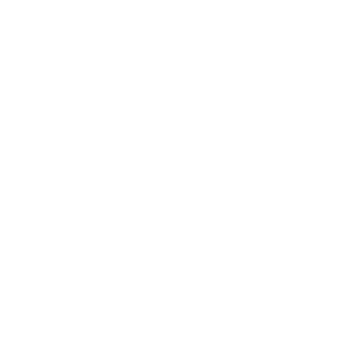 Logo Nest 21